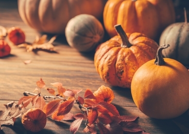 Fall Pumpkin Leaves